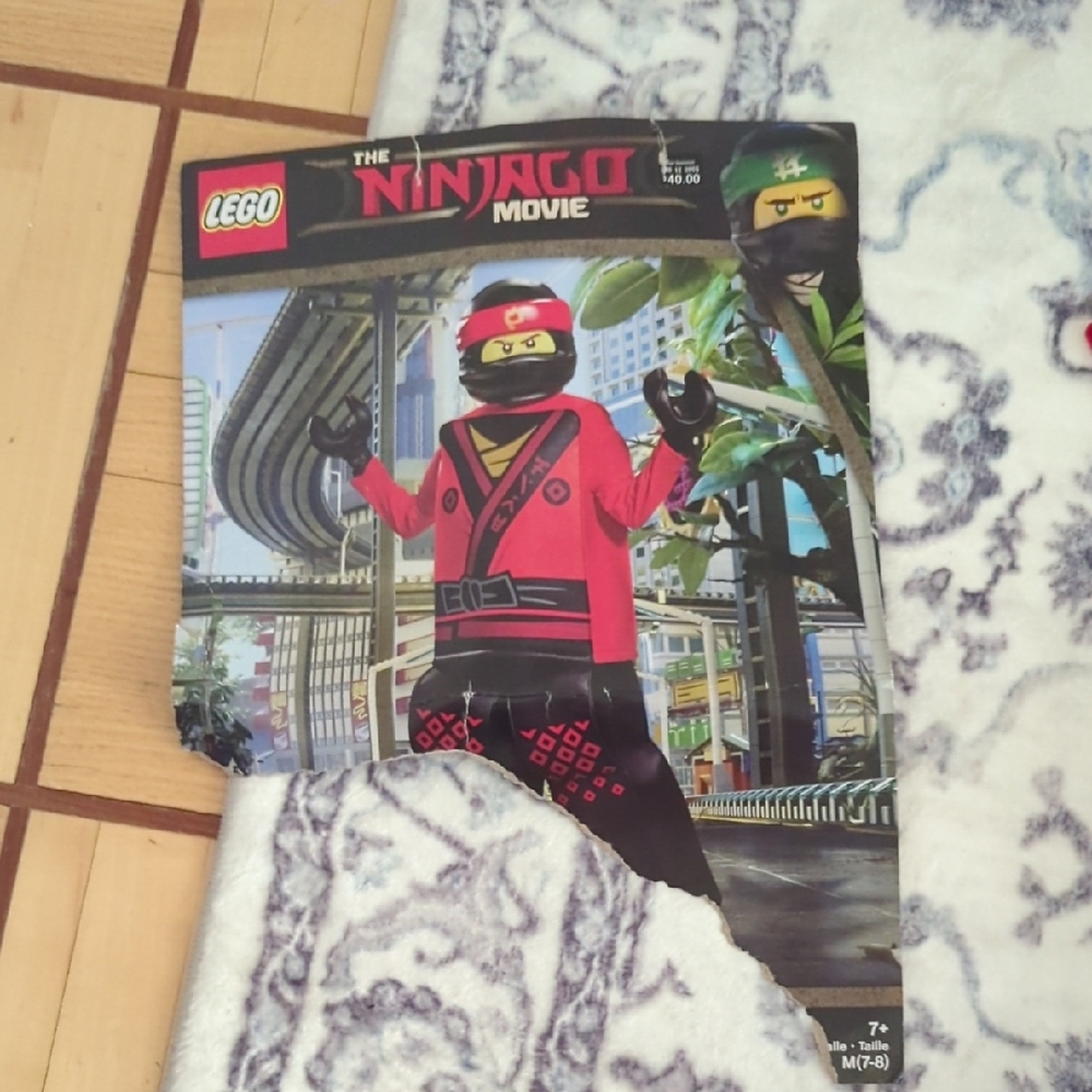 Kids Halloween Costume LEGO Ninjago